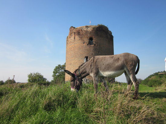 Stolper Turm